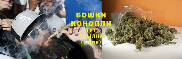 ГАЛЛЮЦИНОГЕННЫЕ ГРИБЫ Сосновка