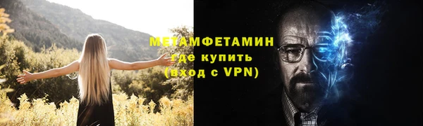 ГАЛЛЮЦИНОГЕННЫЕ ГРИБЫ Сосновка