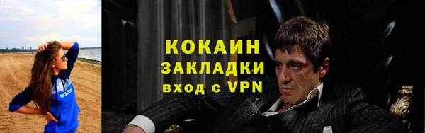 ГАЛЛЮЦИНОГЕННЫЕ ГРИБЫ Сосновка