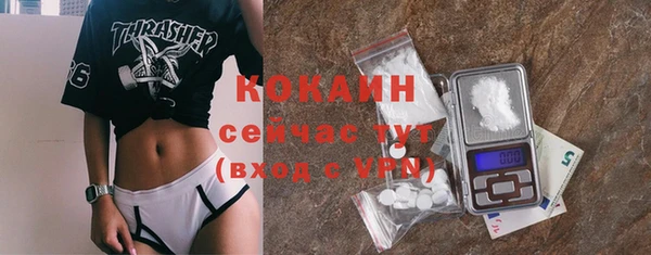 ГАЛЛЮЦИНОГЕННЫЕ ГРИБЫ Сосновка
