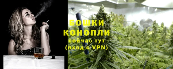 ГАЛЛЮЦИНОГЕННЫЕ ГРИБЫ Сосновка