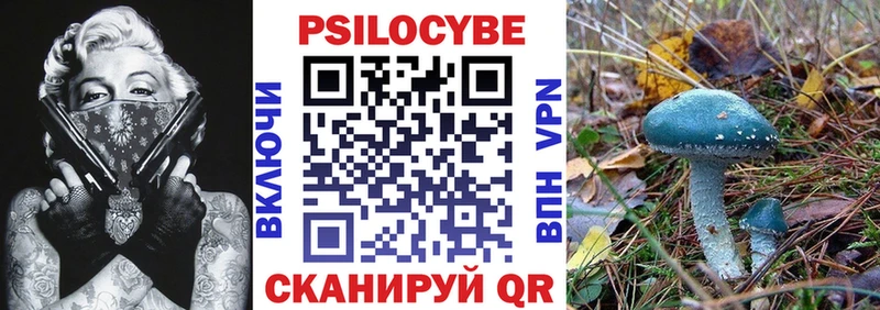 Псилоцибиновые грибы Cubensis  Татарск 