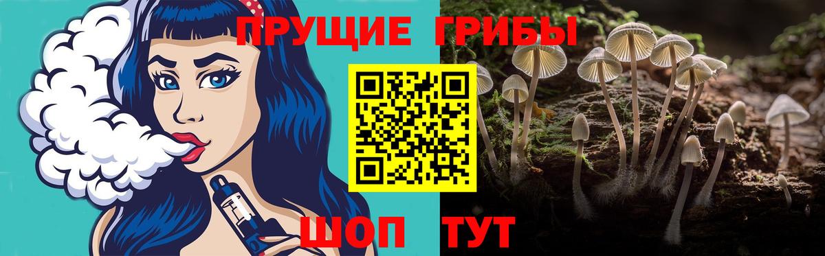Галлюциногенные грибы Cubensis Татарск
