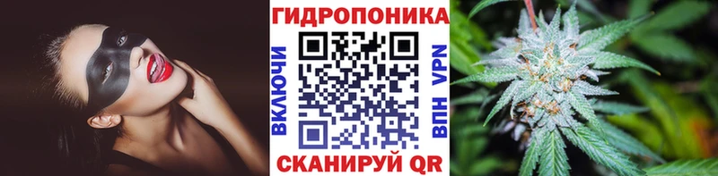 Конопля сатива МЕГА как войти площадка формула Татарск